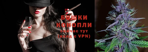 стаф Кинешма