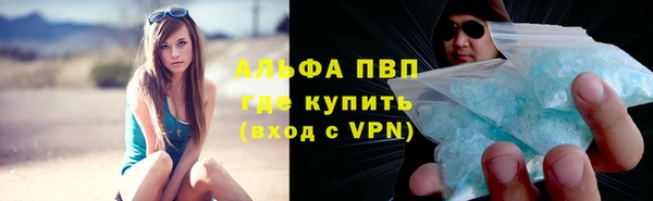 стаф Кинешма