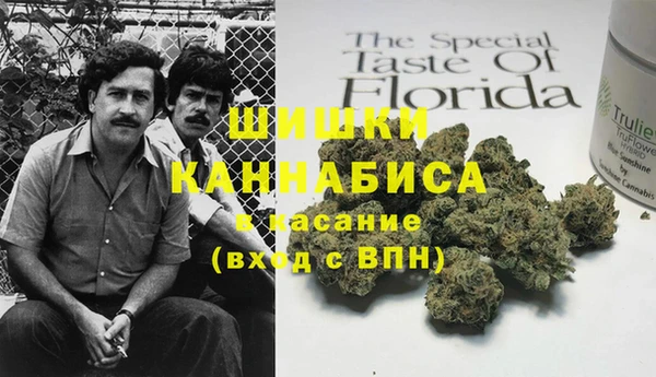 стаф Кинешма